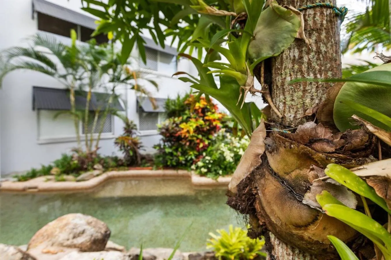 Cairns Tropical Bliss Swim In Swim Out Apartment Austrália